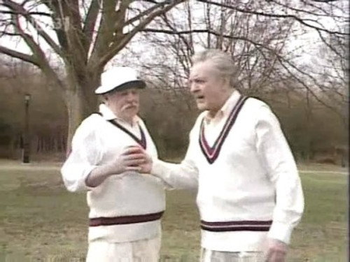 Definitely Not Cricket!