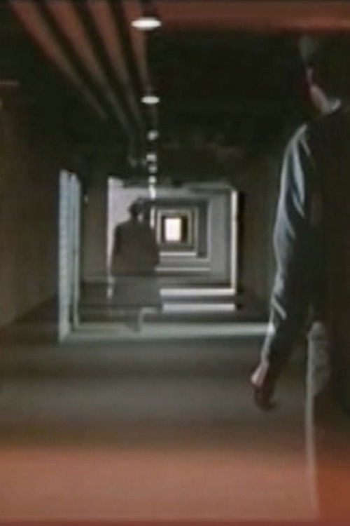 J'écoute Bob Dylan dans un tunnel