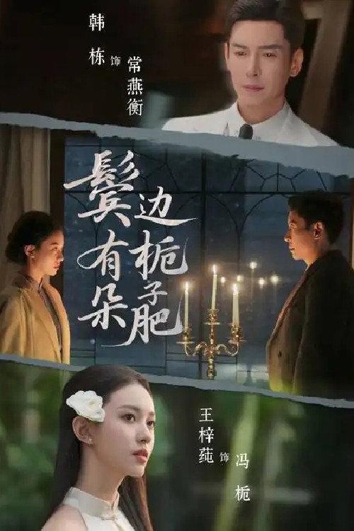 鬓边有朵栀子肥电影海报
