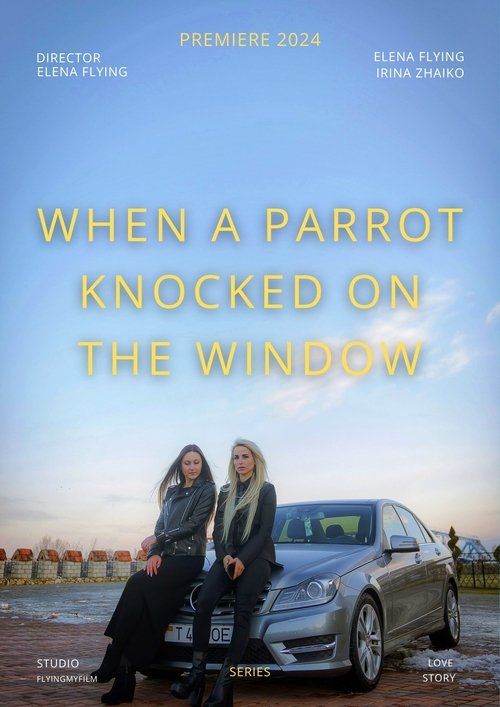 Poster of When a Parrot Knocked on the Window