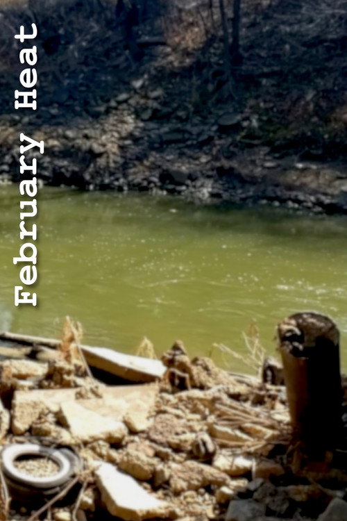 Poster for February Heat