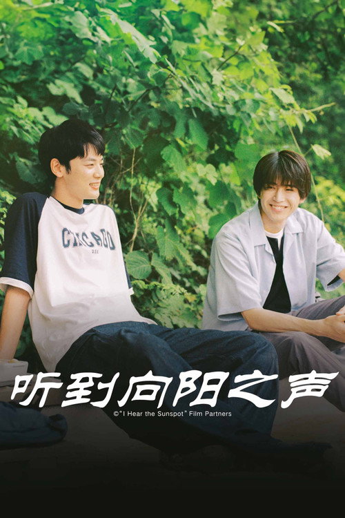 听到向阳之声电影海报