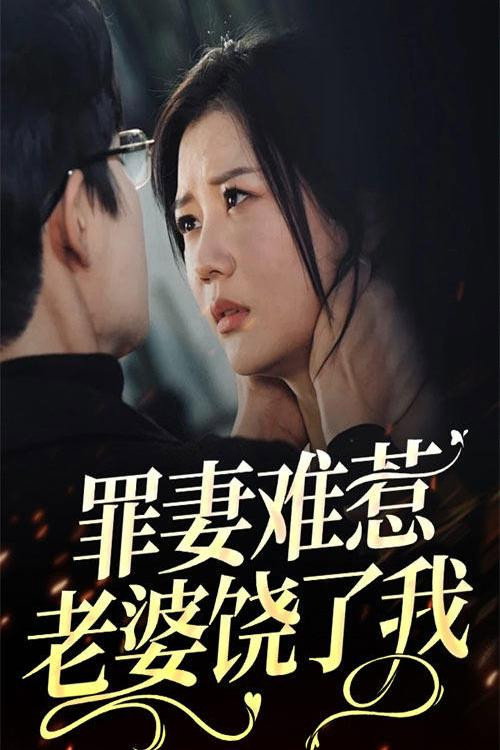 罪妻难惹：老婆饶了我电影海报