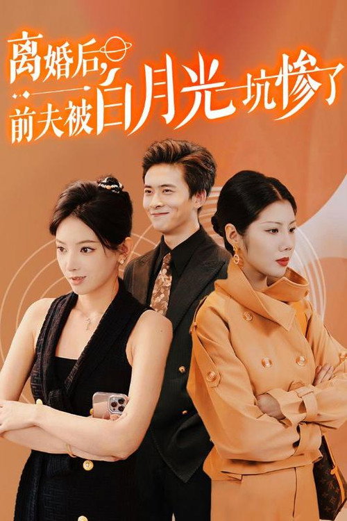 离婚后，前夫被白月光坑惨了电影海报