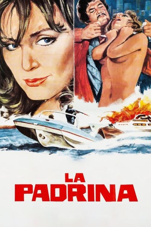 Lady Dynamite Poster