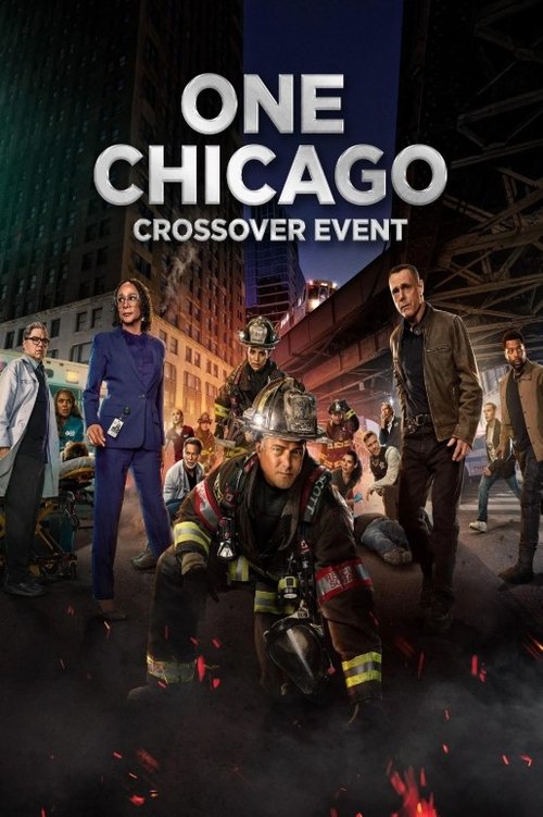 One Chicago Crossover Event Poster