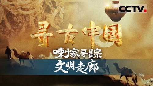 Episode 7