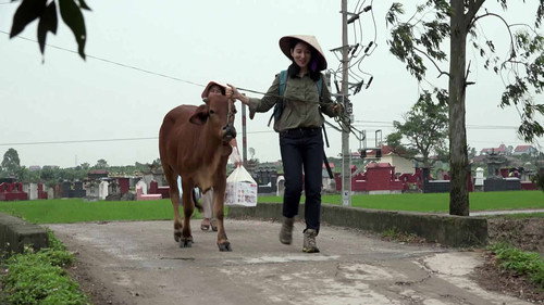 Backdrop