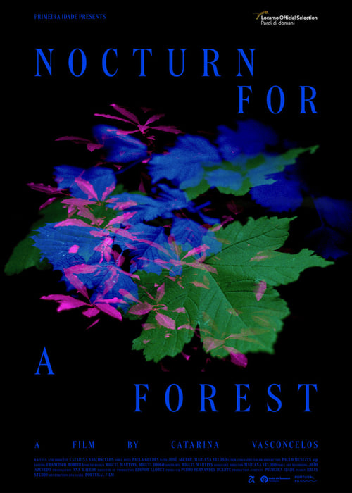 Nocturne for a Forest
