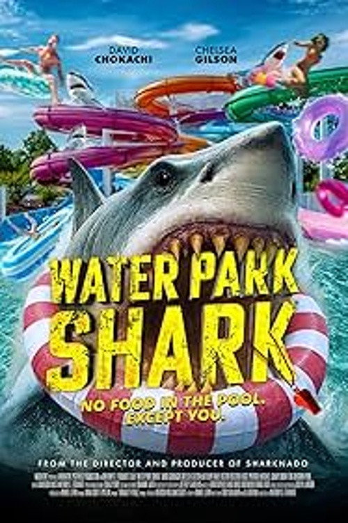 Water Park Shark Poster