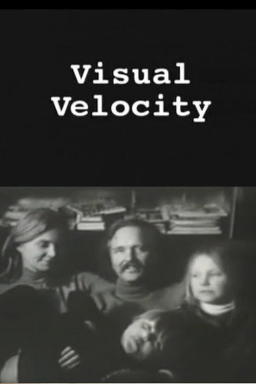Visual Velocity: The Work of Stan VanDerBeek poster 2