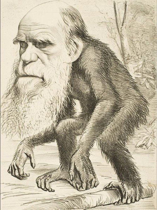 Ce que Darwin ne savait pas encore poster 2