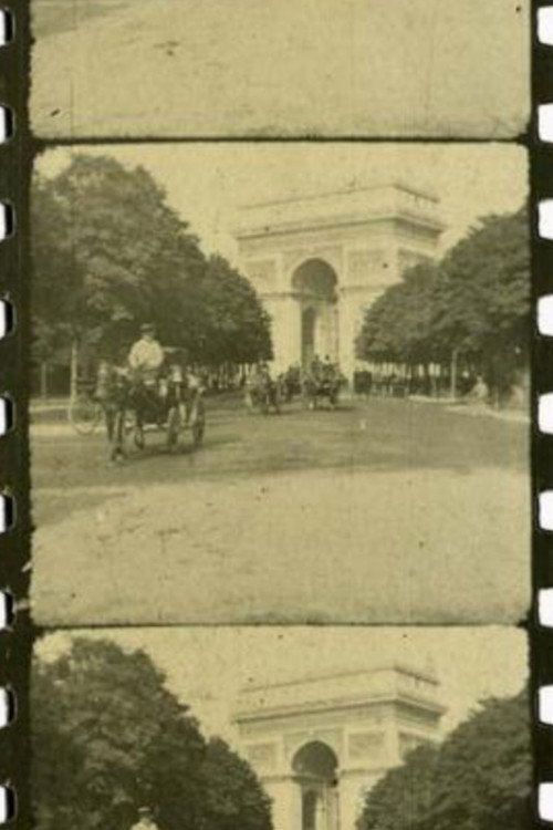 Avenue du Bois du Boulogne