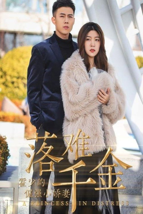 落难千金：霍少的倔强小娇妻电影海报