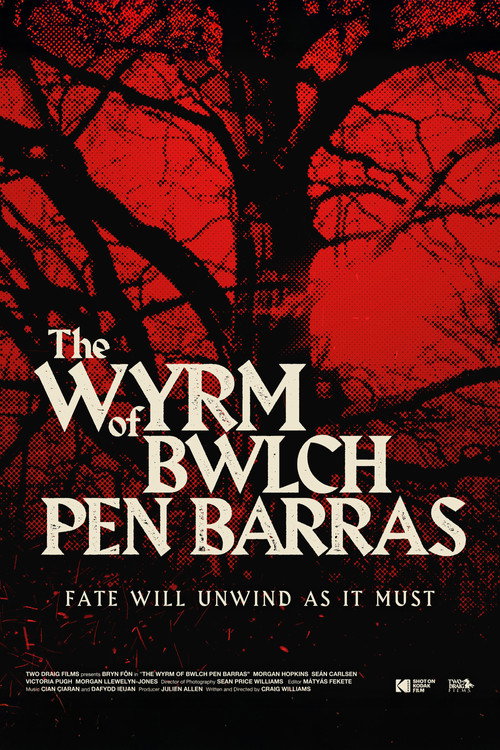 The Wyrm of Bwlch Pen Barras poster 3