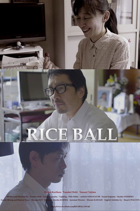 Rice Ball