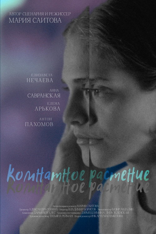 Комнатное растение Poster