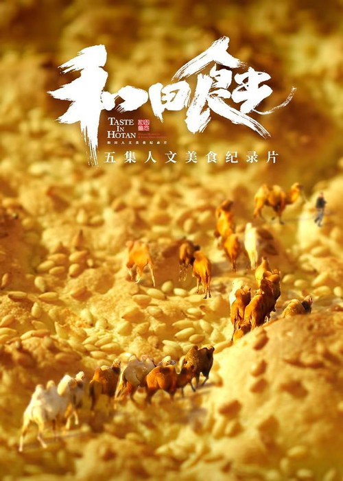 和田食光电影海报