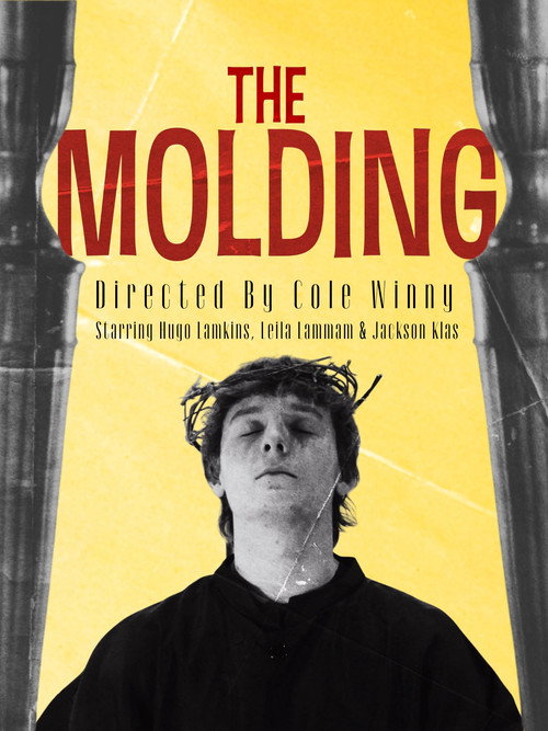 The Molding电影海报