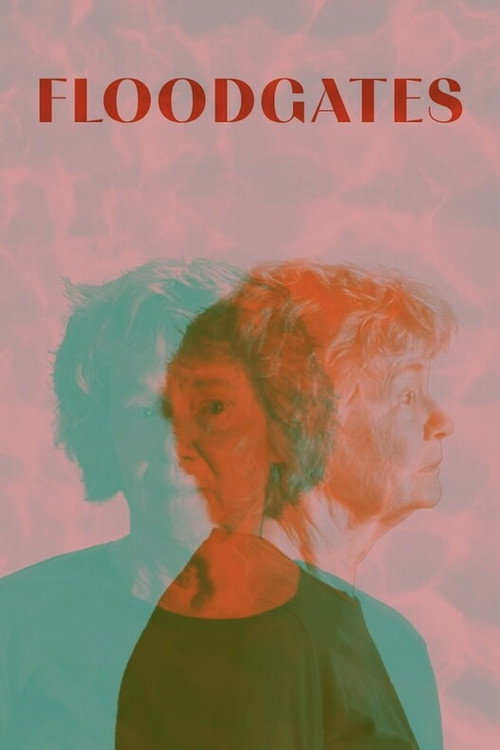 Floodgates Poster