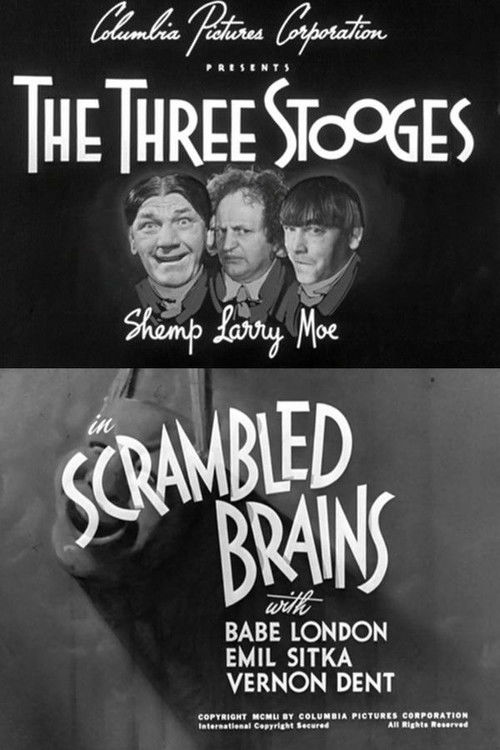 Scrambled Brains Poster