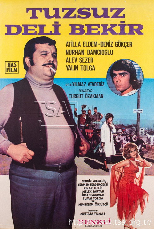 Tuzsuz Deli Bekir's poster