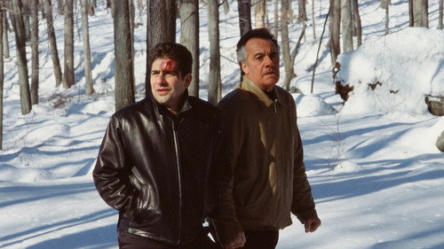 Pine Barrens