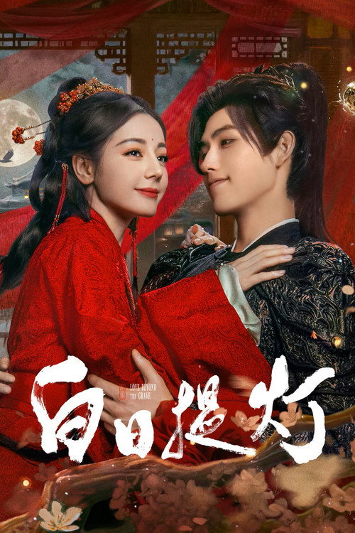 白日提灯​电影海报