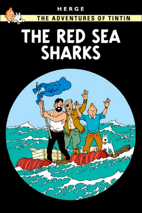 The+Red+Sea+Sharks