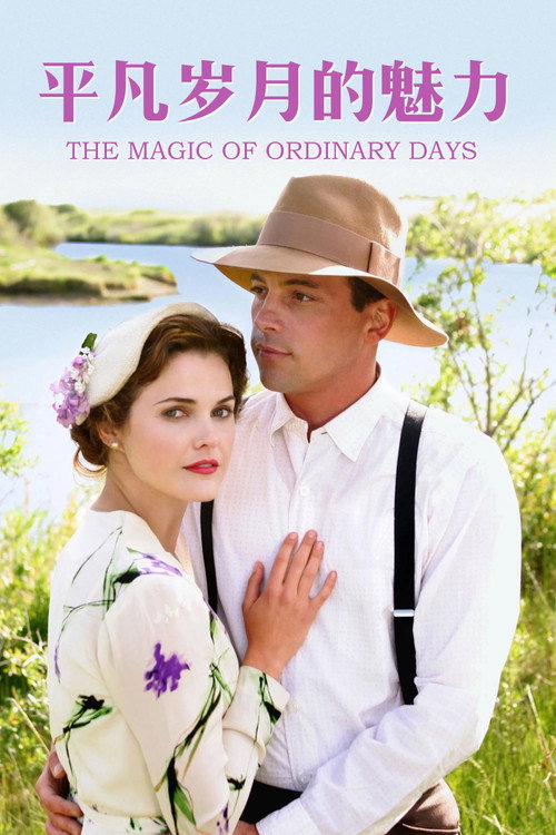 平凡岁月的魅力电影海报