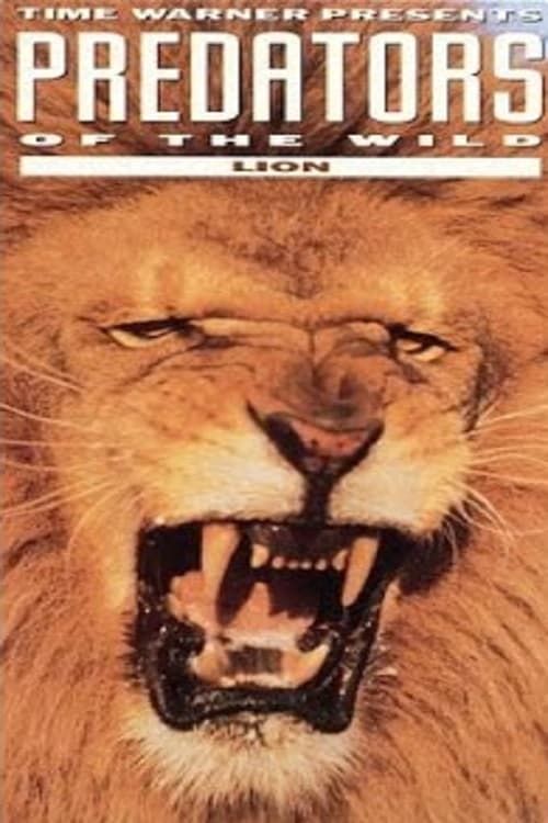 Predators+of+the+Wild%3A+Lion