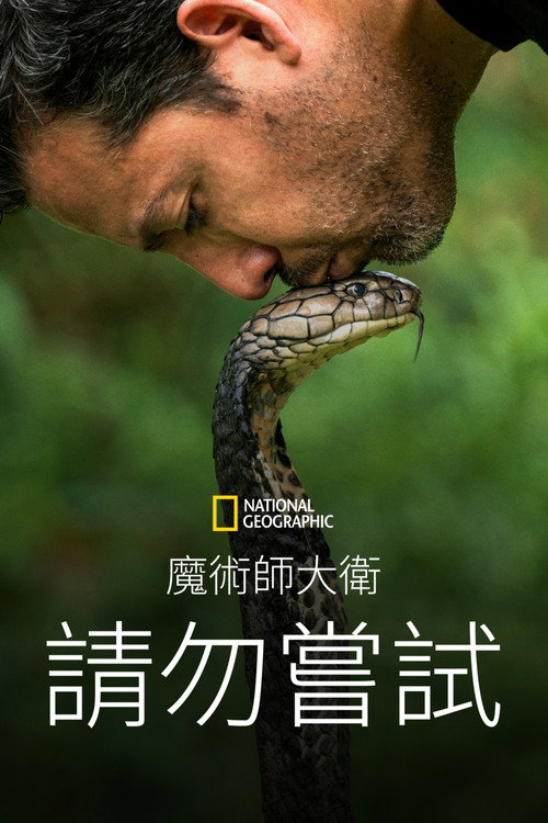 大卫&middot;布雷恩：请勿尝试电影海报