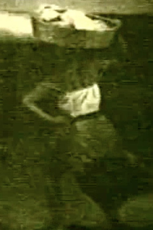 Washerwoman poster 2