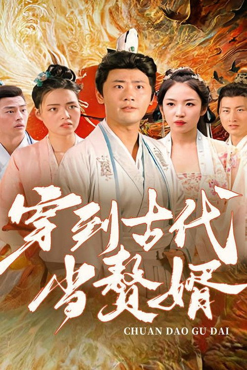 穿到古代当赘婿电影海报