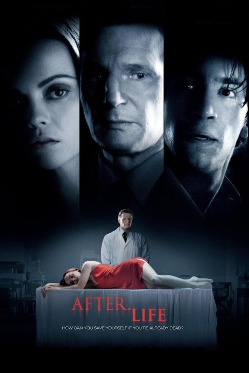 Assistir ! Depois da Vida 2009 Filme Completo Dublado Online Gratis