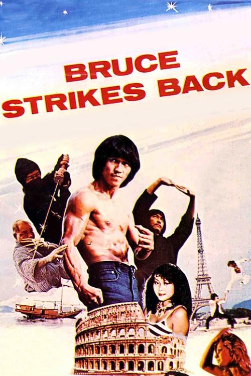 Bruce Strikes Back Poster