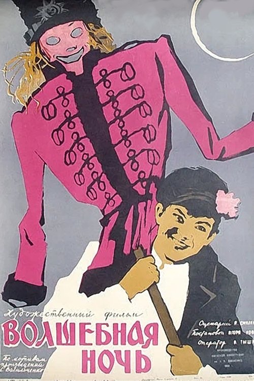 Magic Night Poster