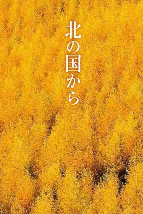 北国之恋电影海报