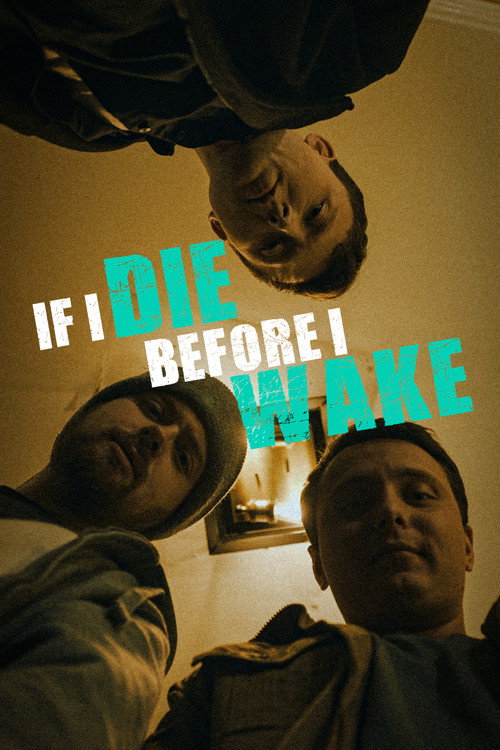 If I Die Before I Wake电影海报
