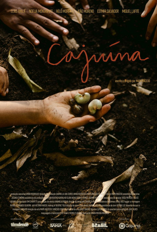 Cajuína poster 3