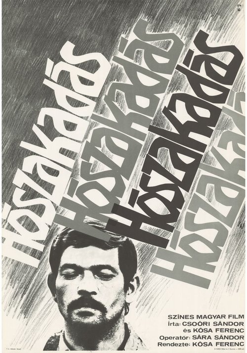 Snowfall Poster
