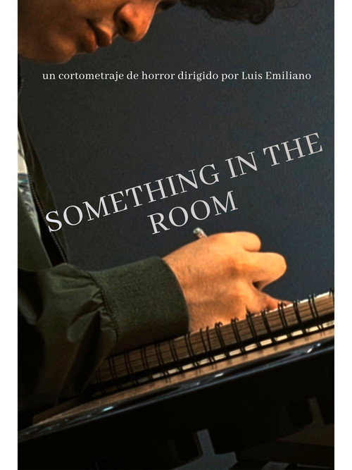 Something In The Room电影海报