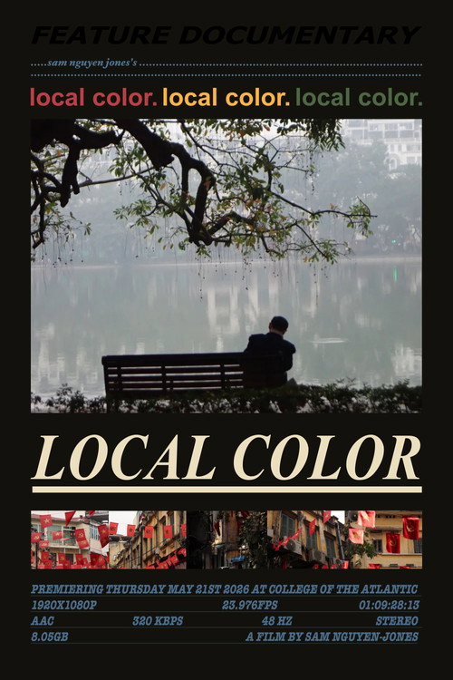 local color电影海报