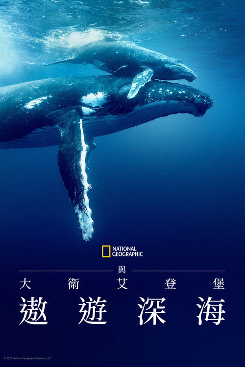 大卫&middot;爱登堡：海洋电影海报