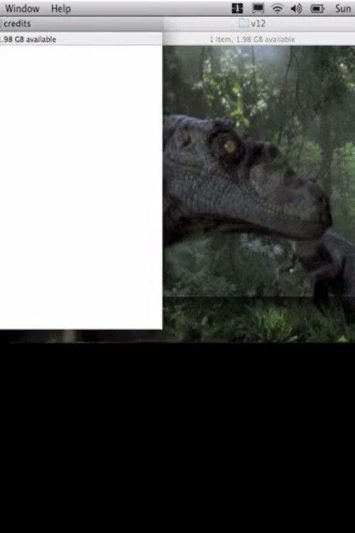 VELOCANIM_RBW_X DEMO