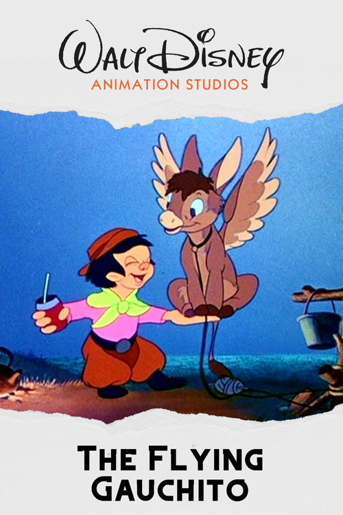 The Flying Gauchito poster 3