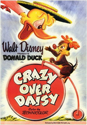 Crazy Over Daisy