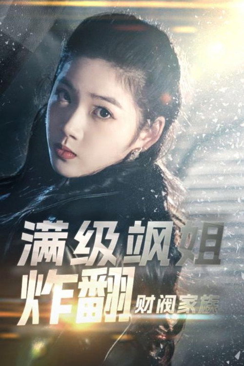 满级飒姐炸翻财阀家族电影海报