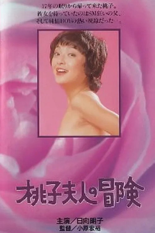 Lady Momoko's Adventure poster 3