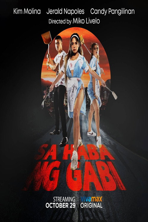 Sa Haba ng Gabi poster 4